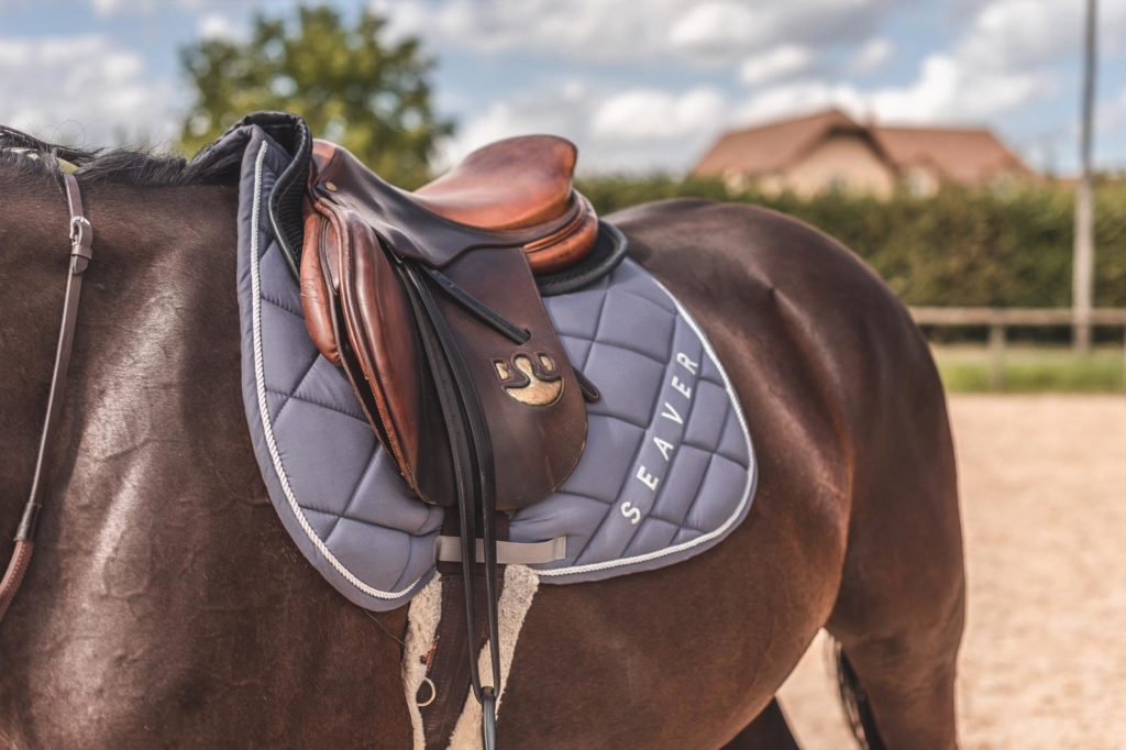 Equiper son cheval pour une séance de longe