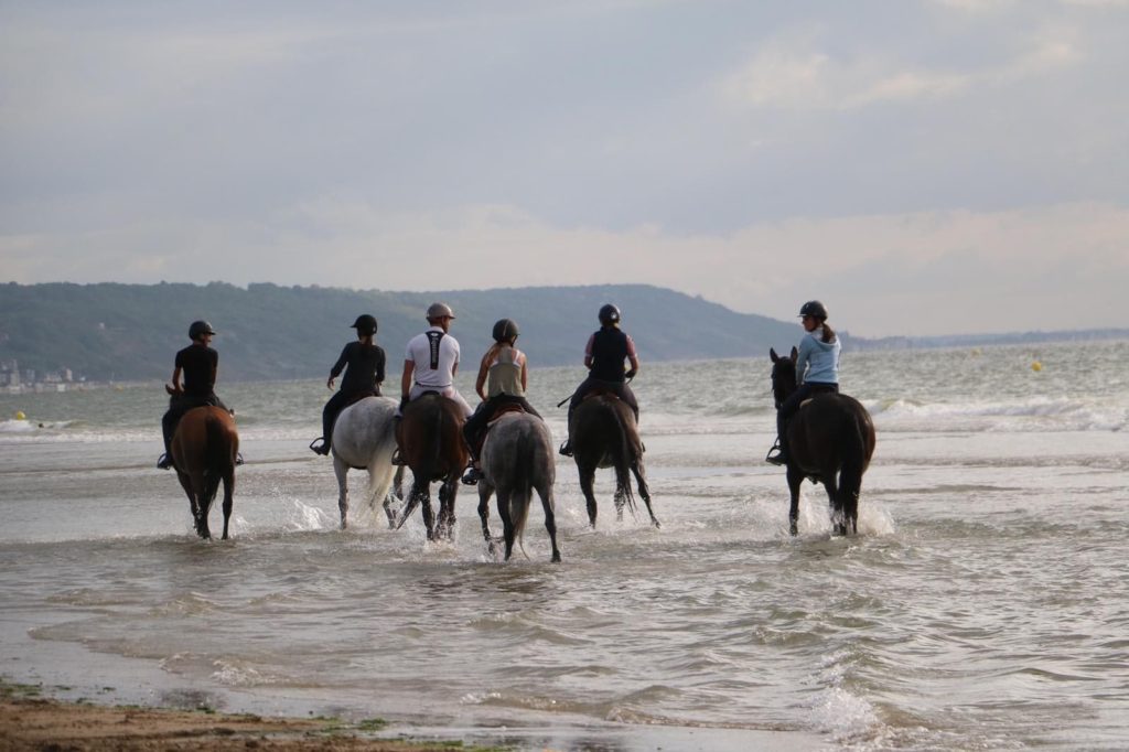 Organising a ride with several horses from the same stable can be a good idea for an outing!