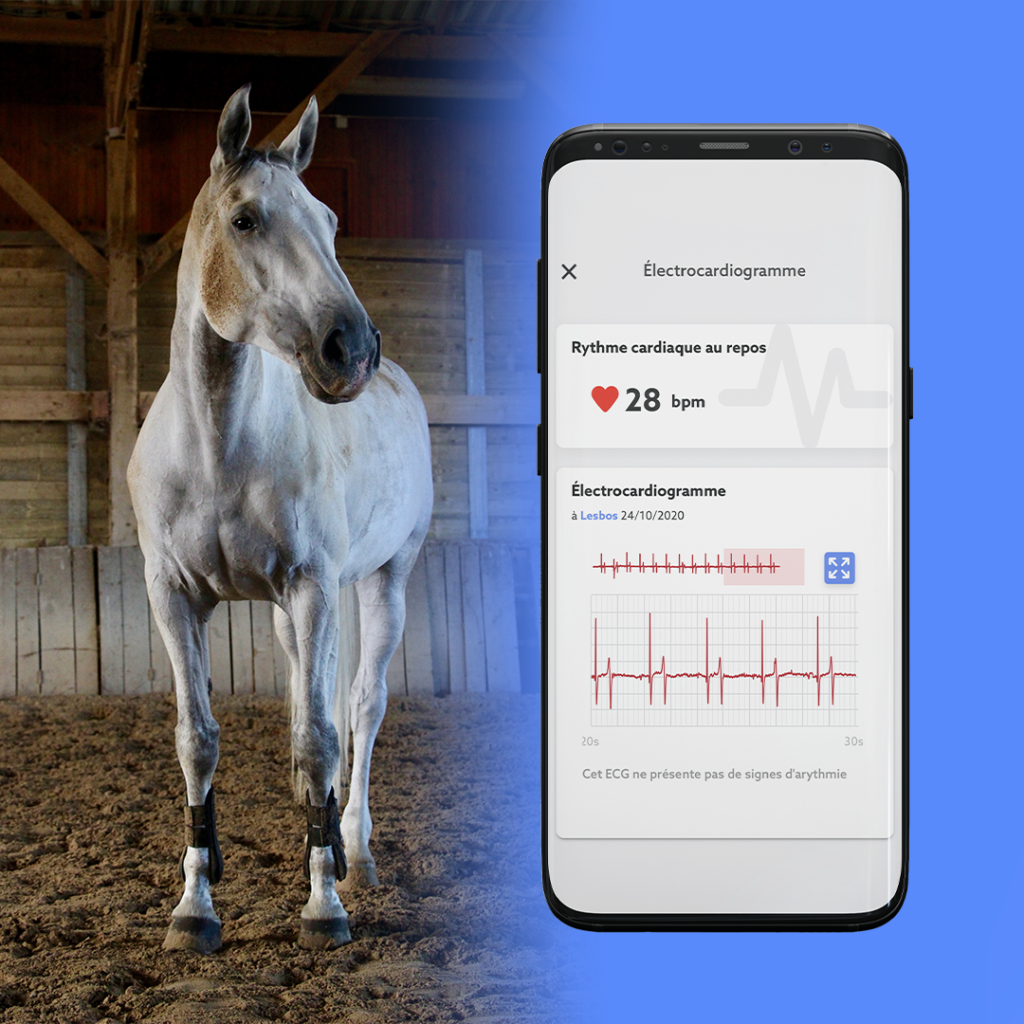 Get your horse&#039;s ECG with CEEFIT Pulse &amp; ECG and the Health+ program.