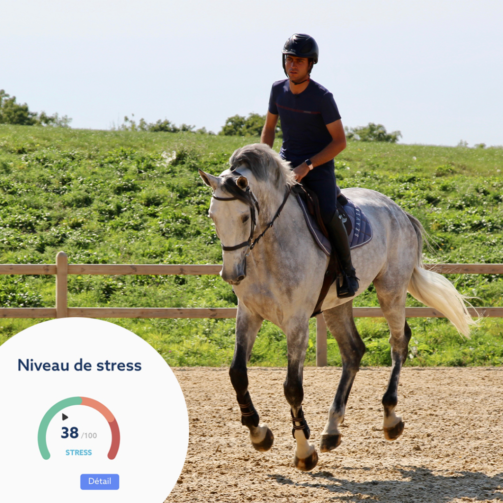 Obtenez le niveau de stress de votre cheval grâce au CEEFIT Pulse & ECG et à Santé+. 