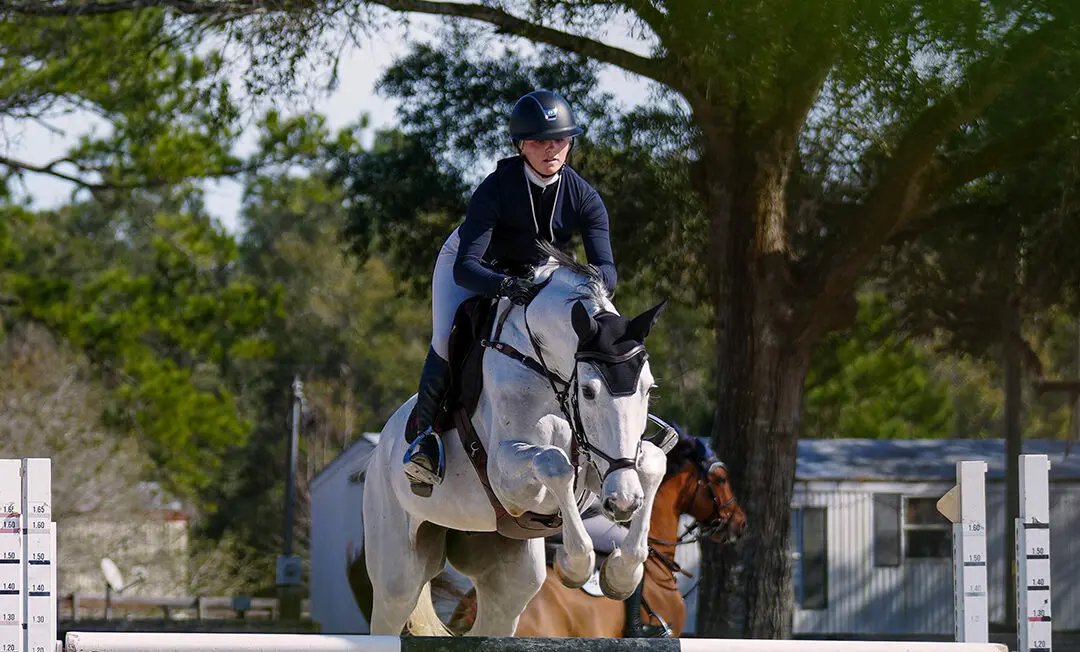 Maya Ridenour Seaver - Blog